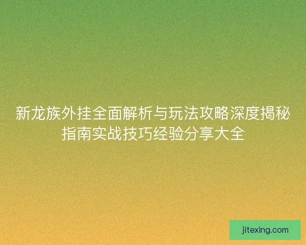 新龙族外挂全面解析与玩法攻略深度揭秘指南实战技巧经验分享大全