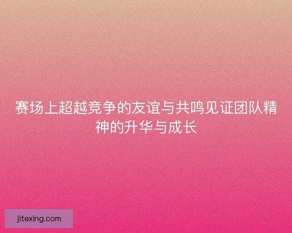 赛场上超越竞争的友谊与共鸣见证团队精神的升华与成长 赛场上超越竞争的友谊与共鸣见证团队精神的升华与成长