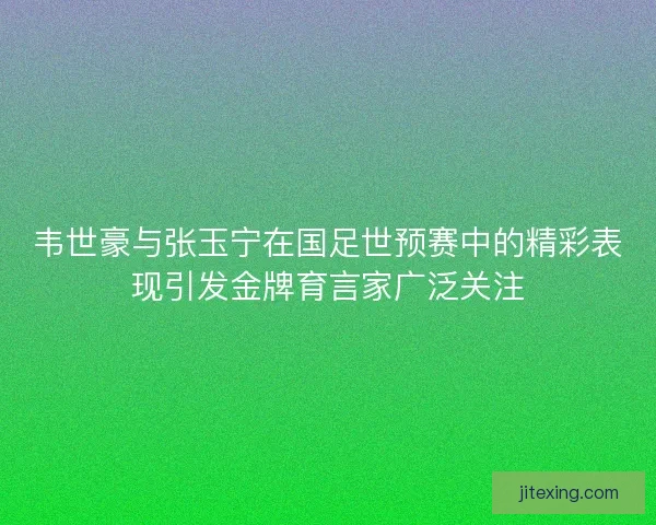 韦世豪与张玉宁在国足世预赛中的精彩表现引发金牌育言家广泛关注